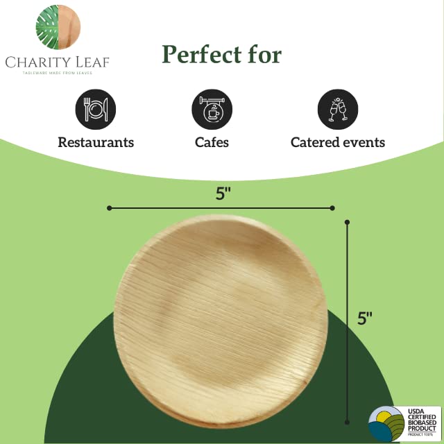 5" Inch Round Plate