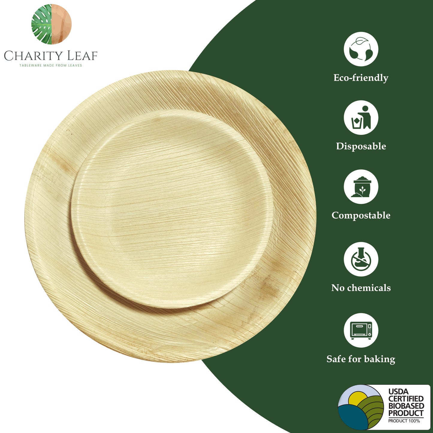 10" & 7" Inch round plates combo