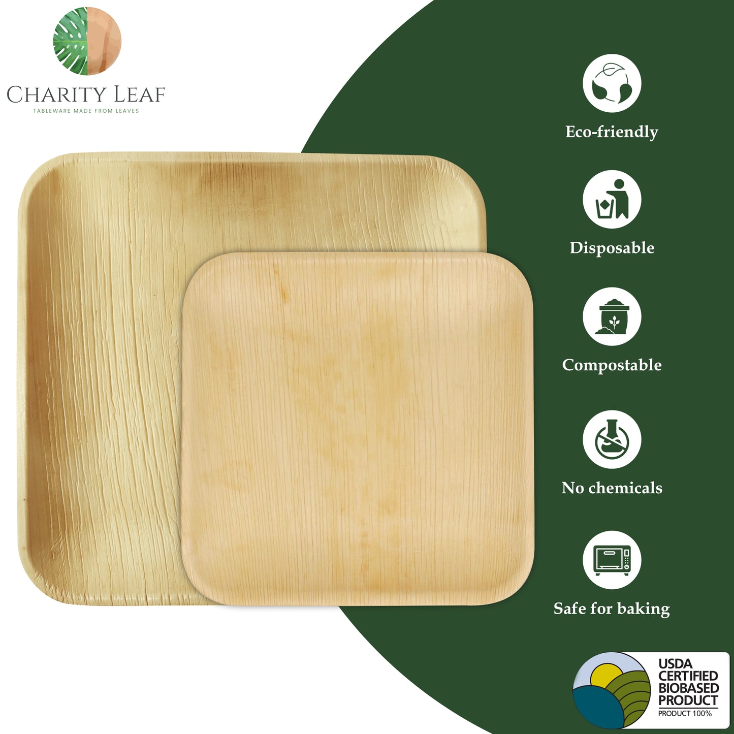 10" & 7" Inch Square Decorative Palm Leaf Fiber Plate combo