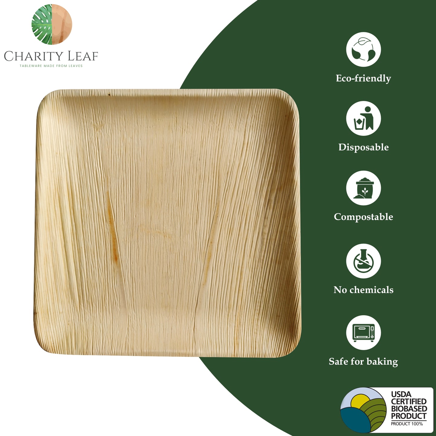 11" Inch Square Plate