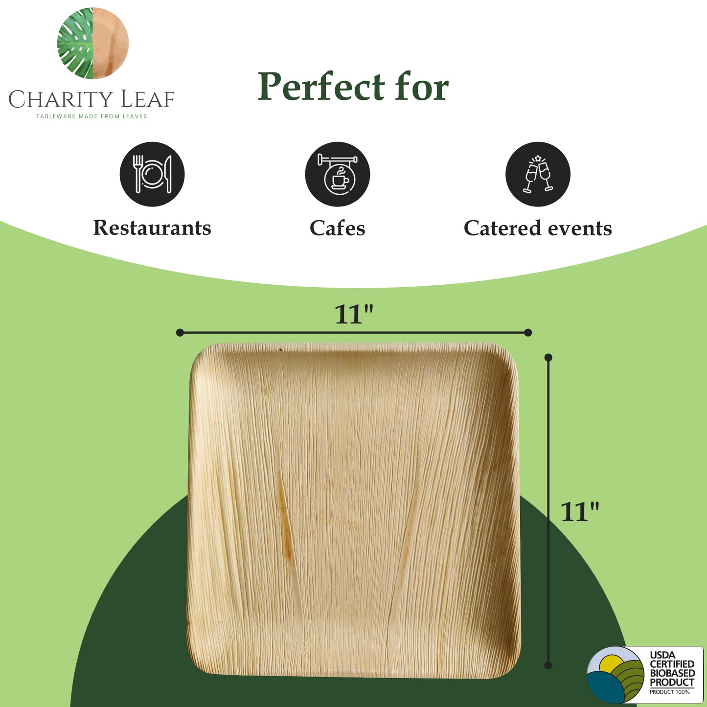 11" Inch Square Plate