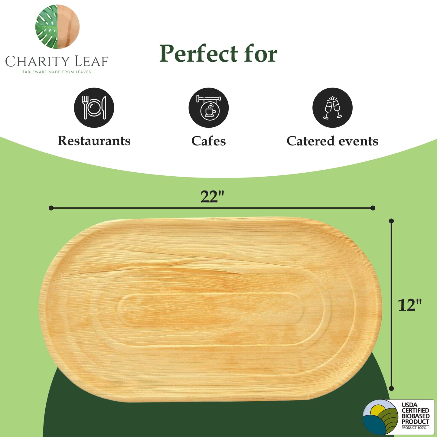 22" x 12" Inch Large Oval Platter