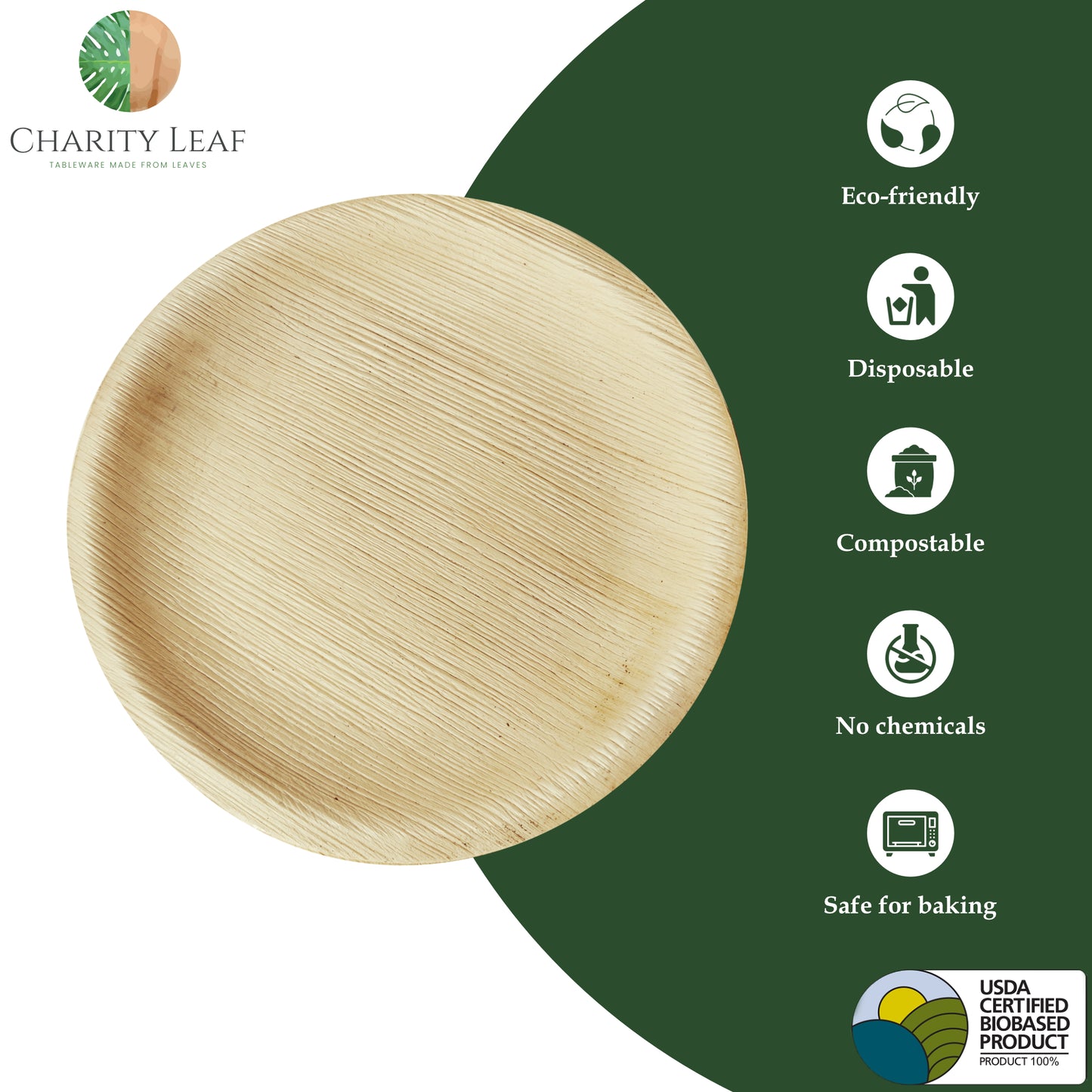 8" Inch Round Plate