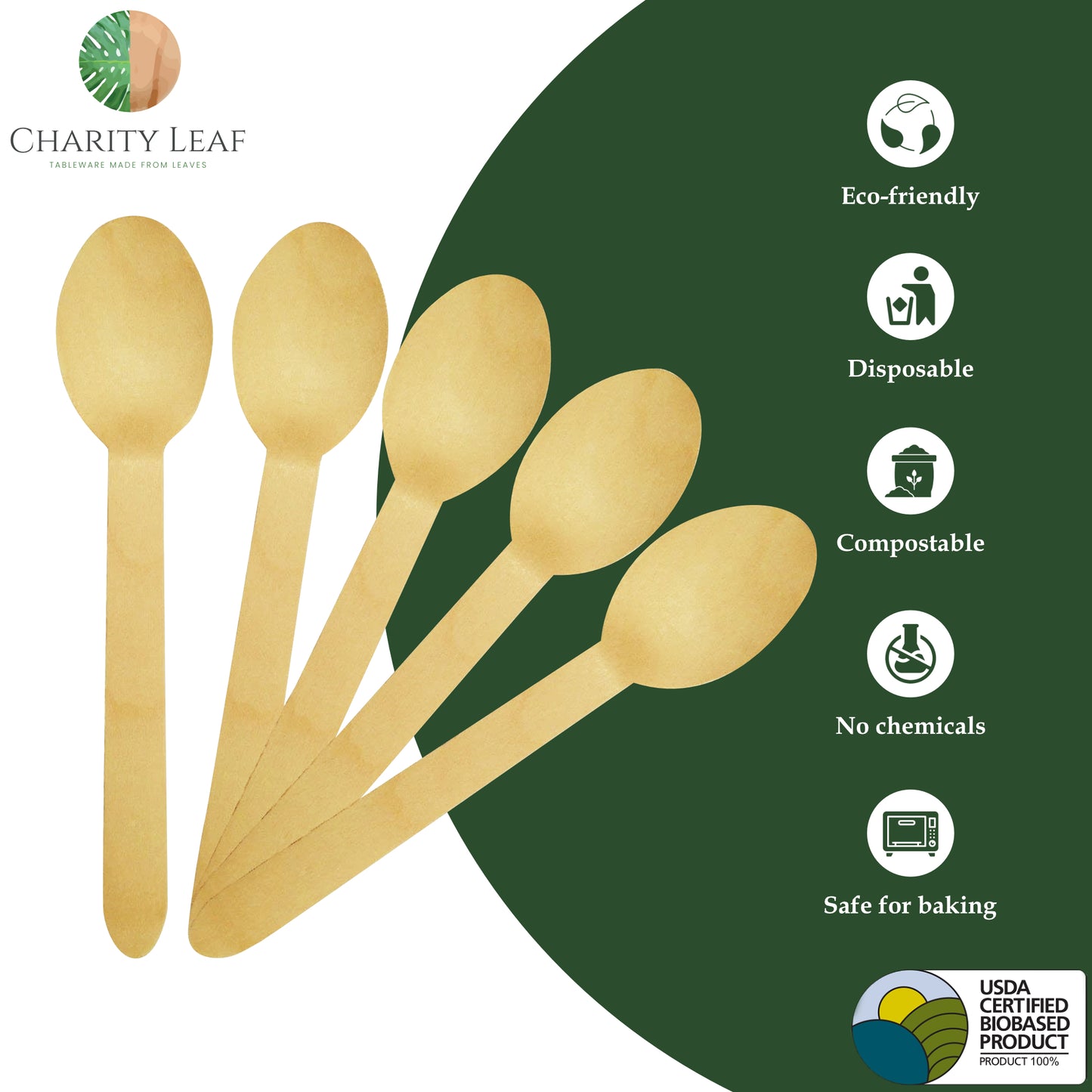 Birchwood Spoon - Pk of 100