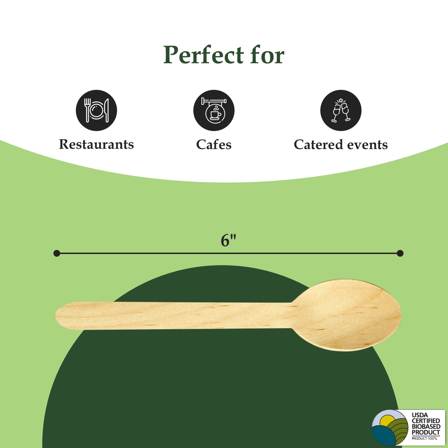Birchwood Spoon - Pk of 100