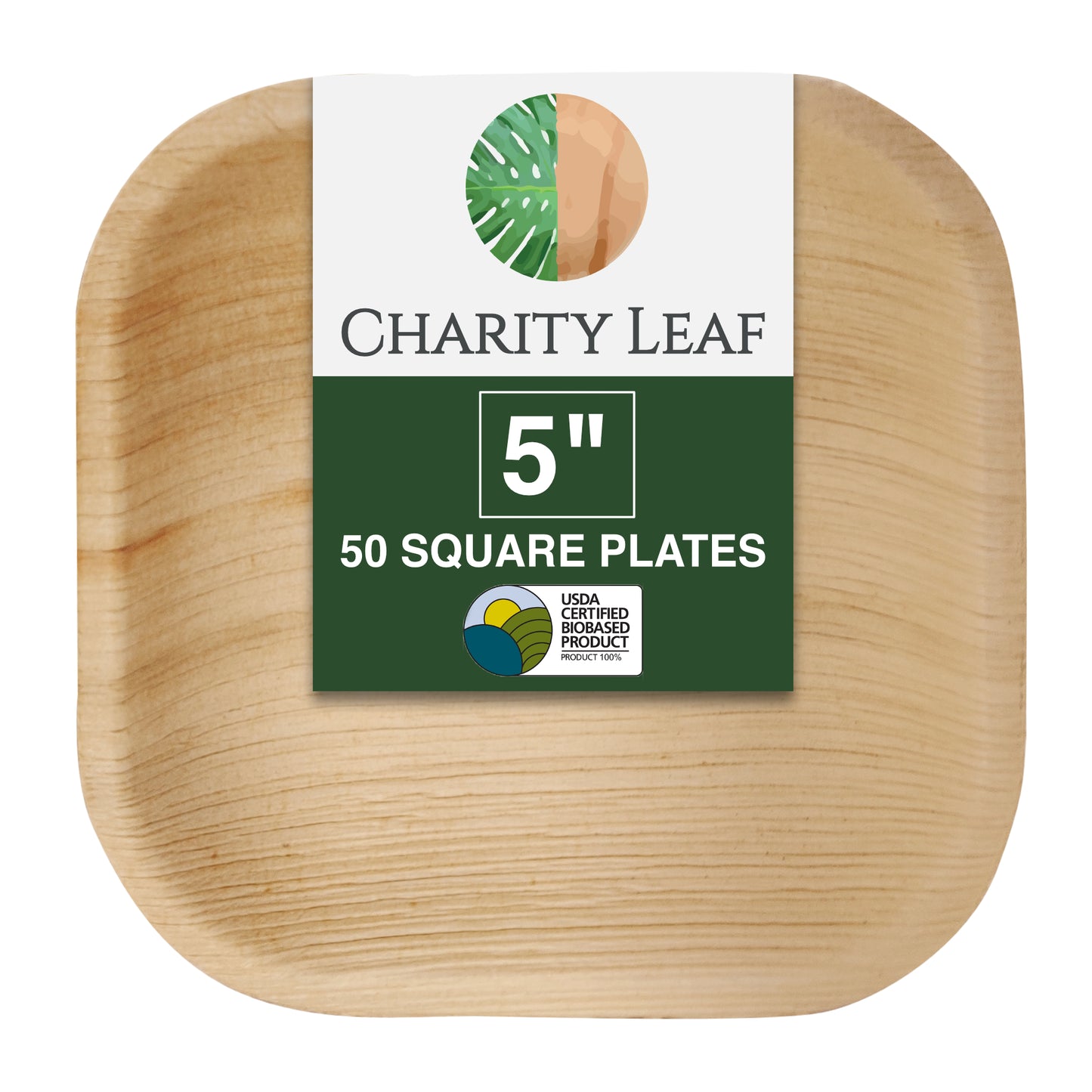 5" Inch Square Plate