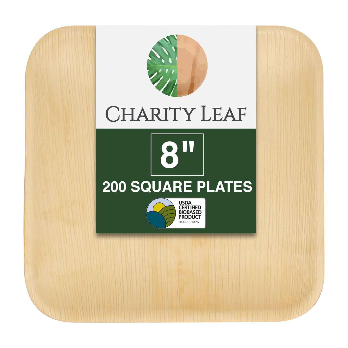 8" Inch Square Plate