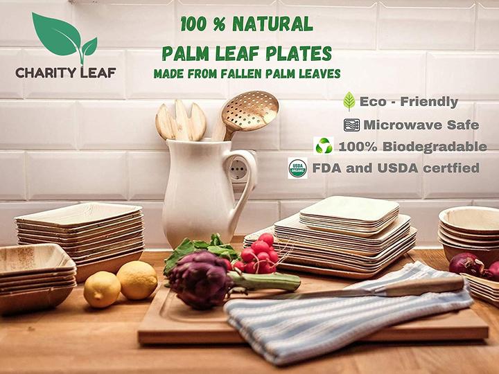 Palm leaf plates bulk best sale